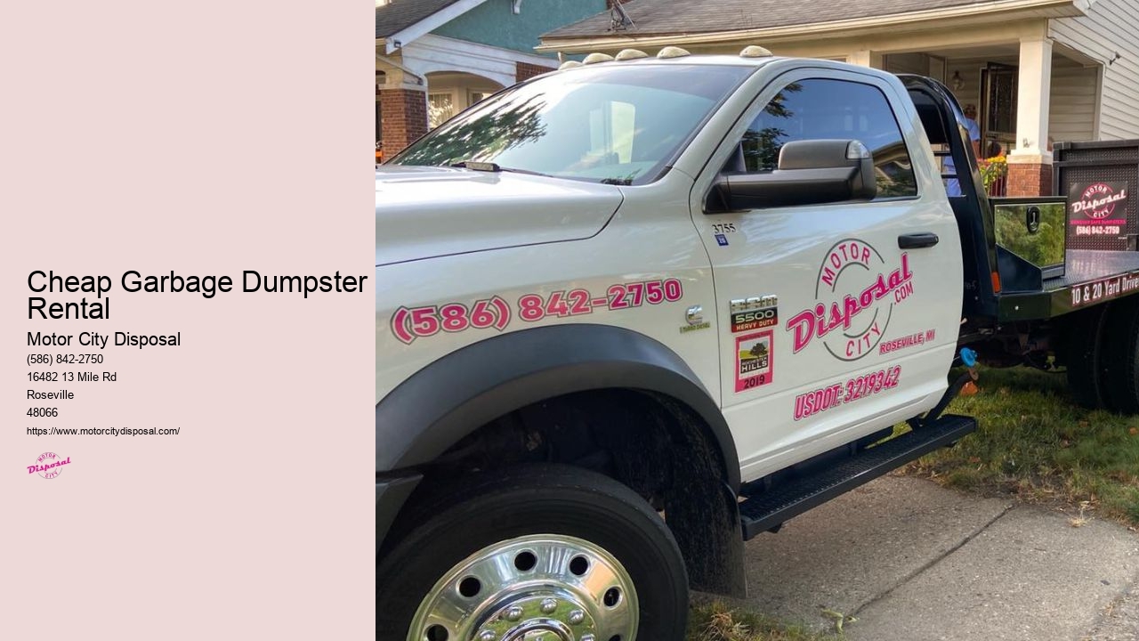 Cheap Dumpster