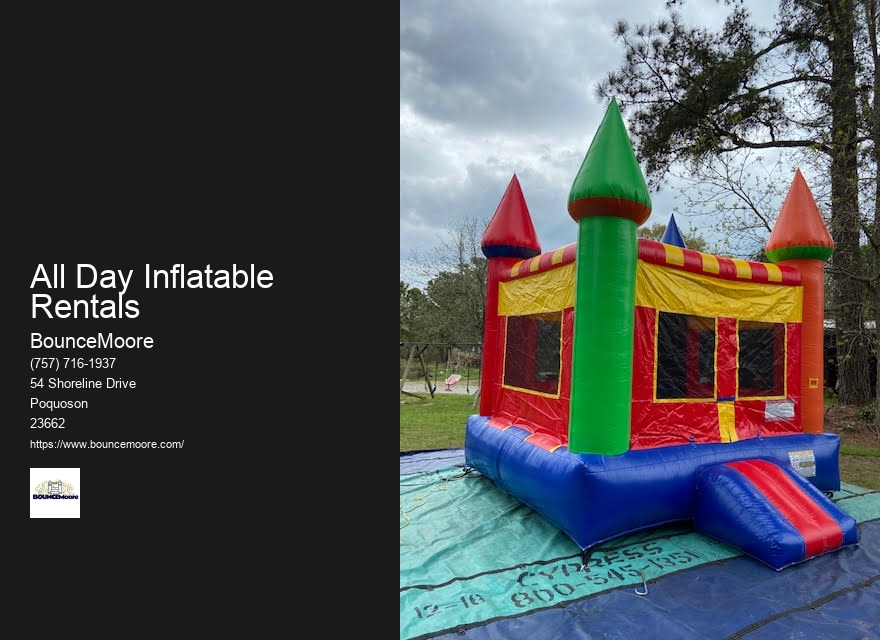 Large Inflatable Castle