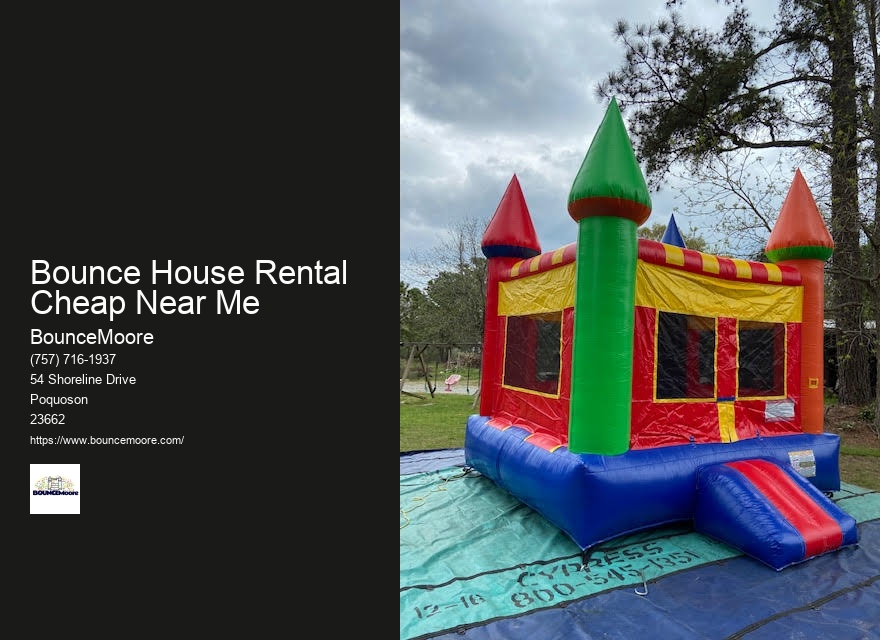 Inflatable Rentals For Birthday Parties