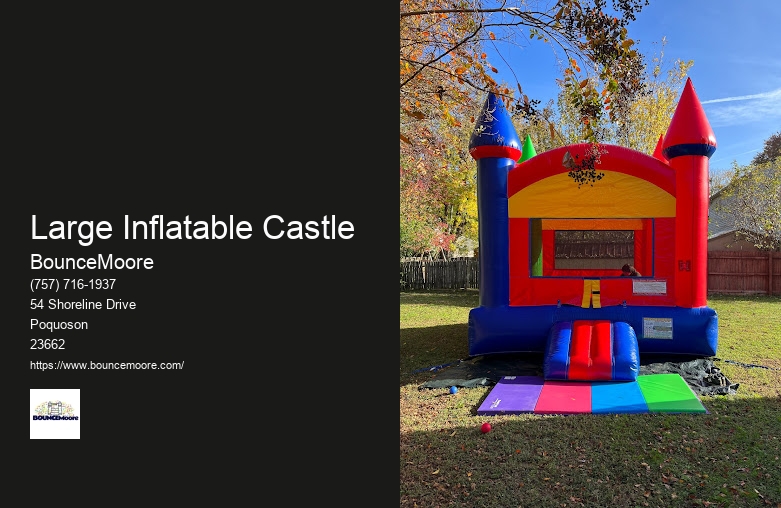 Outdoor Inflatable Rentals Near Me