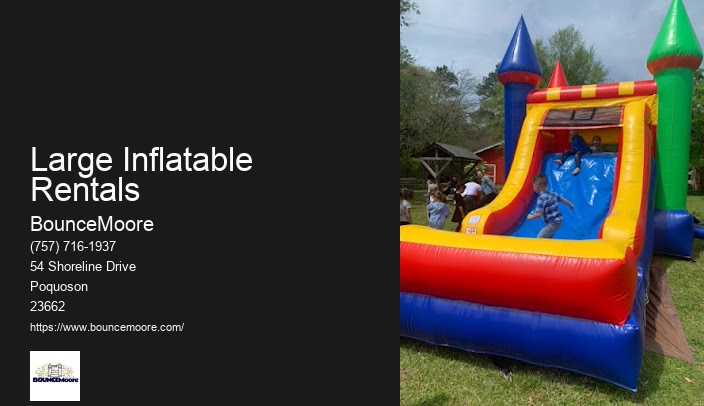 Bounce House Rental Virginia