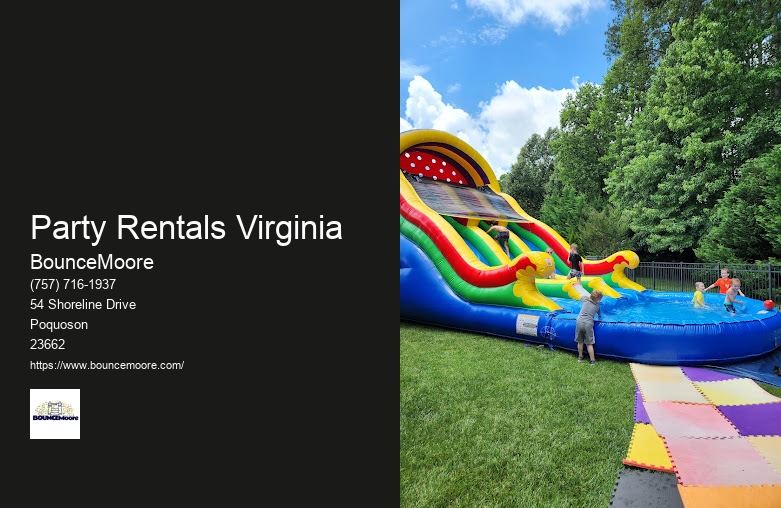 Inflatable Castle For Rent Virginia