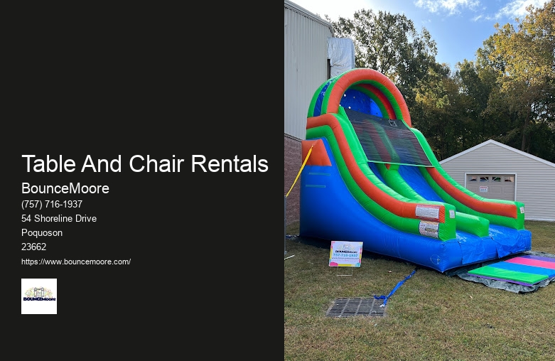 Birthday Inflatable Rentals