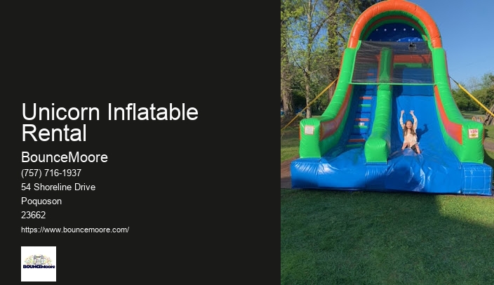 Virginia Bounce House Rentals