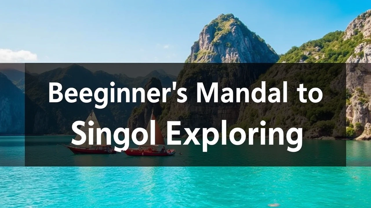 A Comprehensive Beginner's Manual to Single Exploring