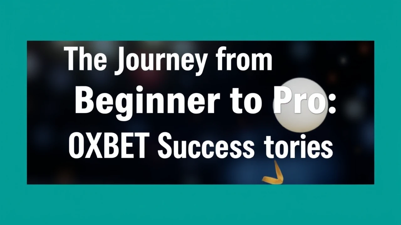 The Journey from Beginner to Pro: OXBET Success Stories