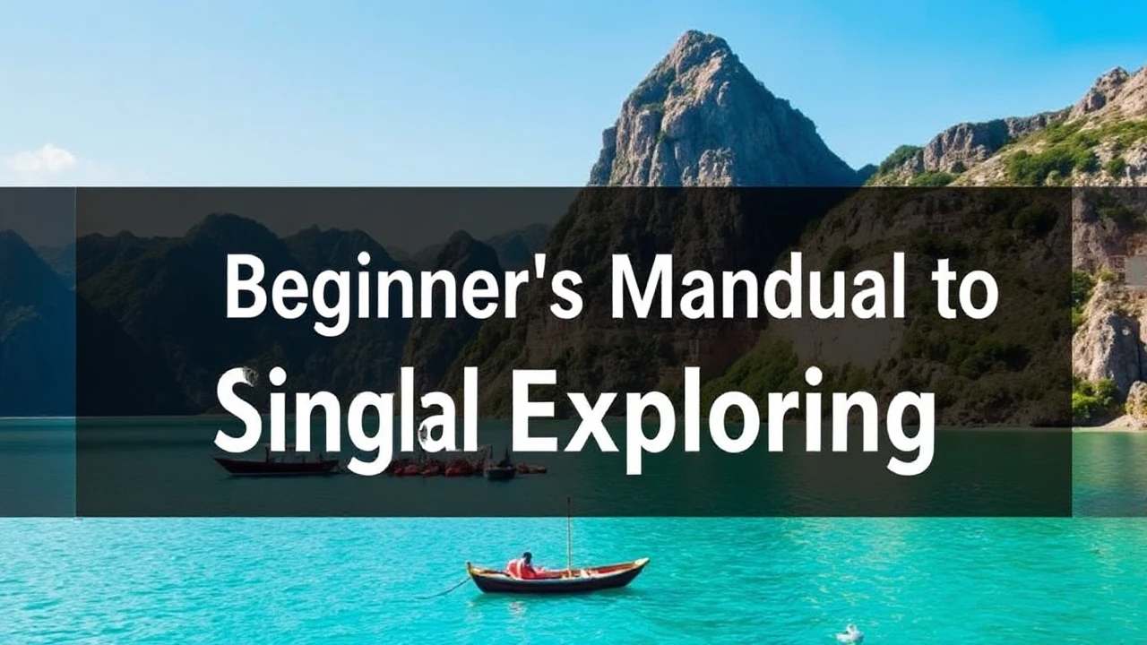 A Comprehensive Beginner's Manual to Single Exploring