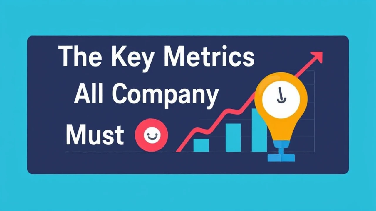The Key Metrics All Company Owner Must Keep an Eye On