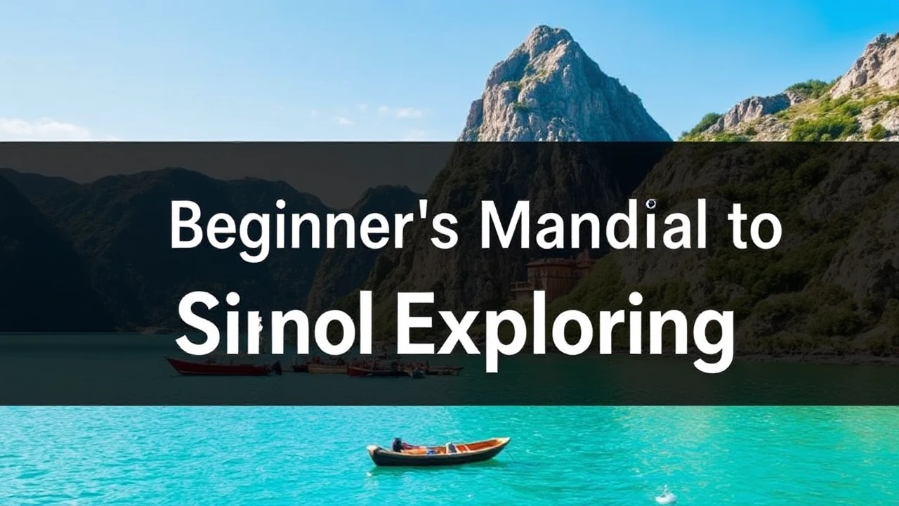 A Comprehensive Beginner's Manual to Single Exploring