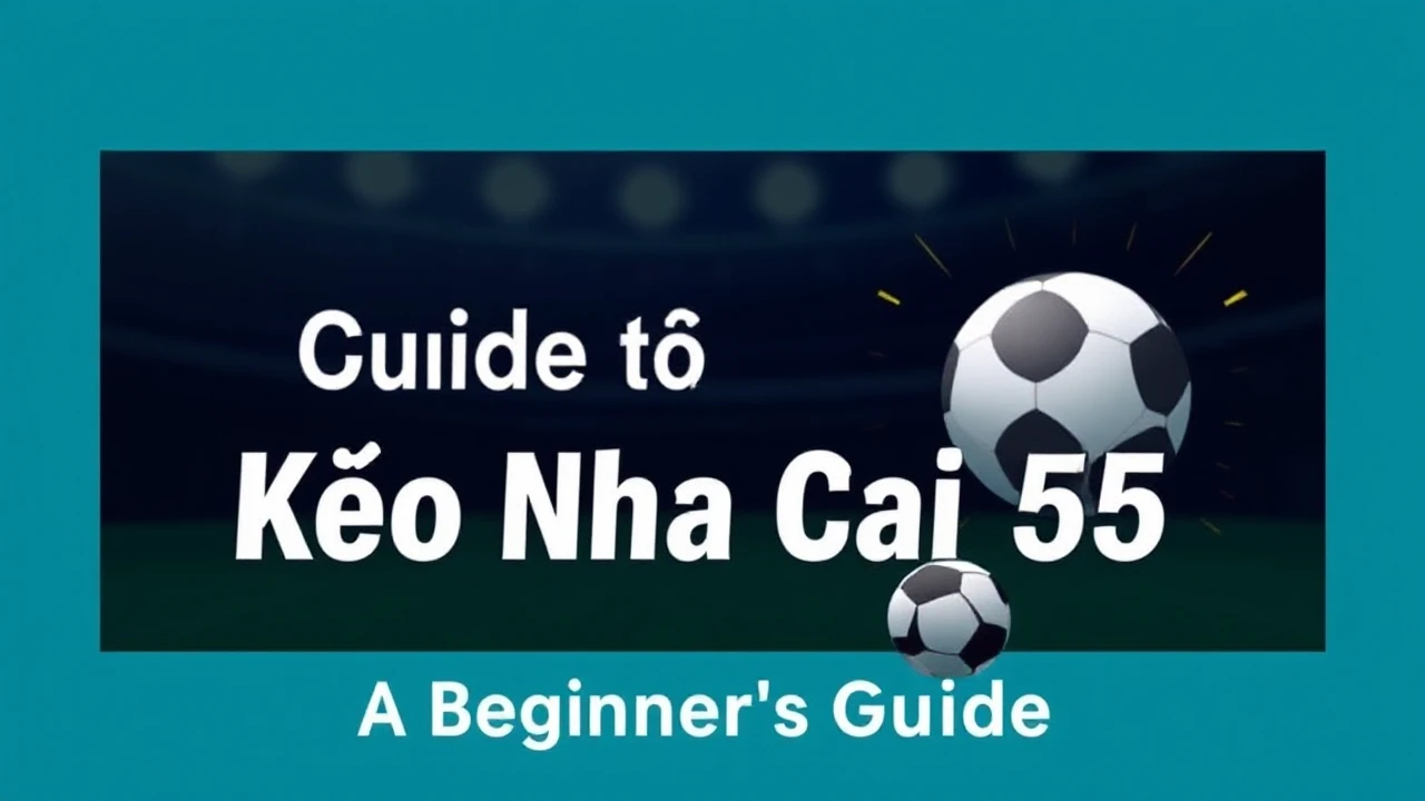 A Beginner’s Guide to Kèo Nhà Cái 55