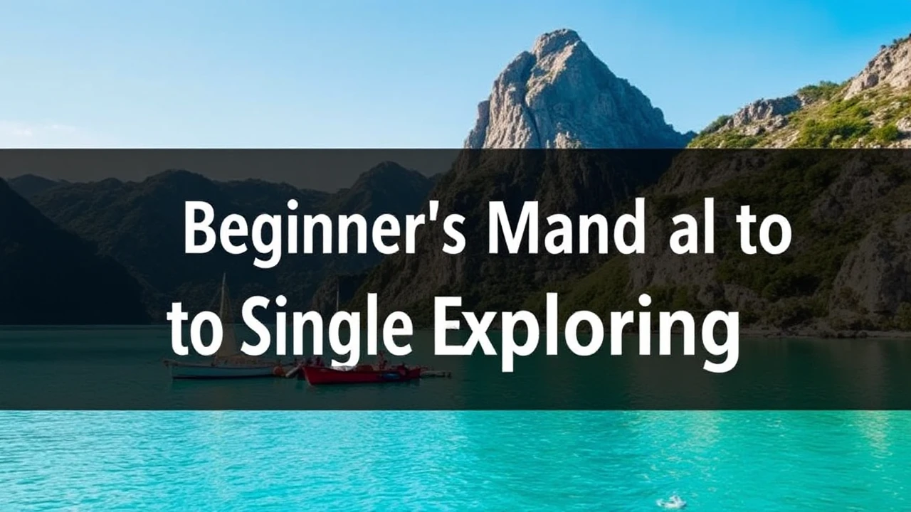 A Comprehensive Beginner's Manual to Single Exploring