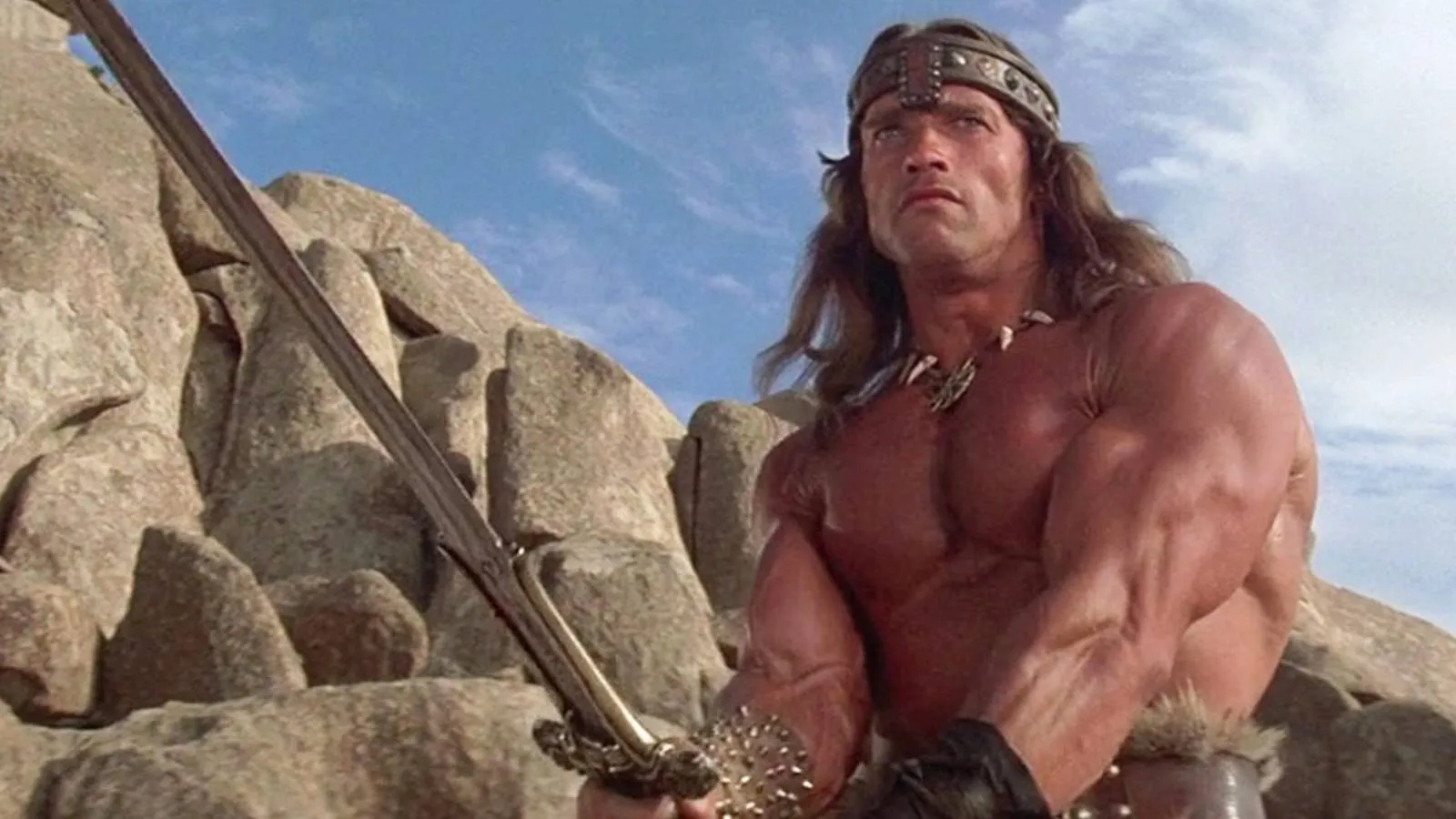 Arnold Schwarzenegger Confirms New Conan Movie Featuring A-List Filmmaker Tom Cruise's Go-To Director
