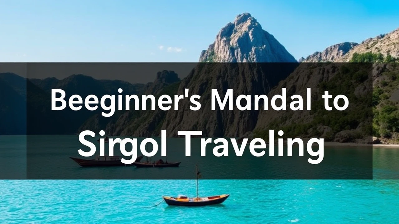 A Comprehensive Beginner's Manual to Single Traveling