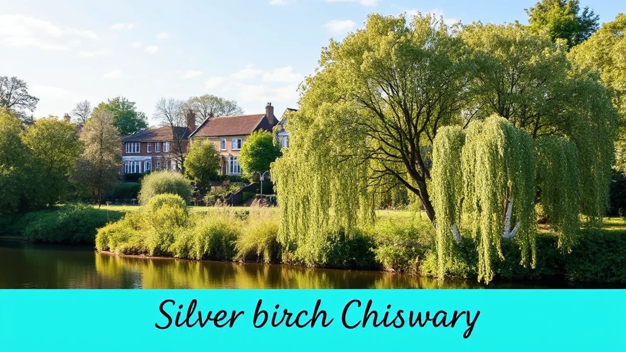 The Ultimate Silver Birch Chiswick Travel Itinerary for Those Who Love Nature