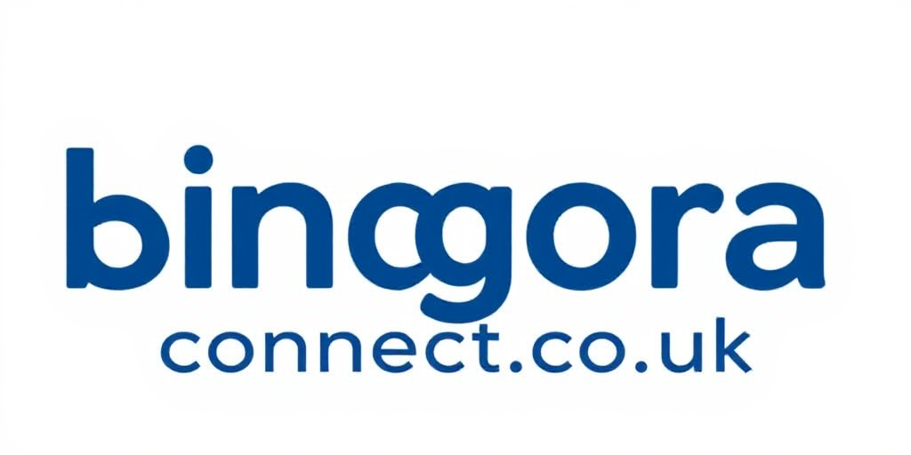 Bingora Connect
