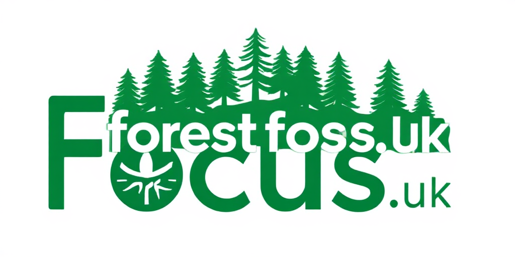 Forest Focus