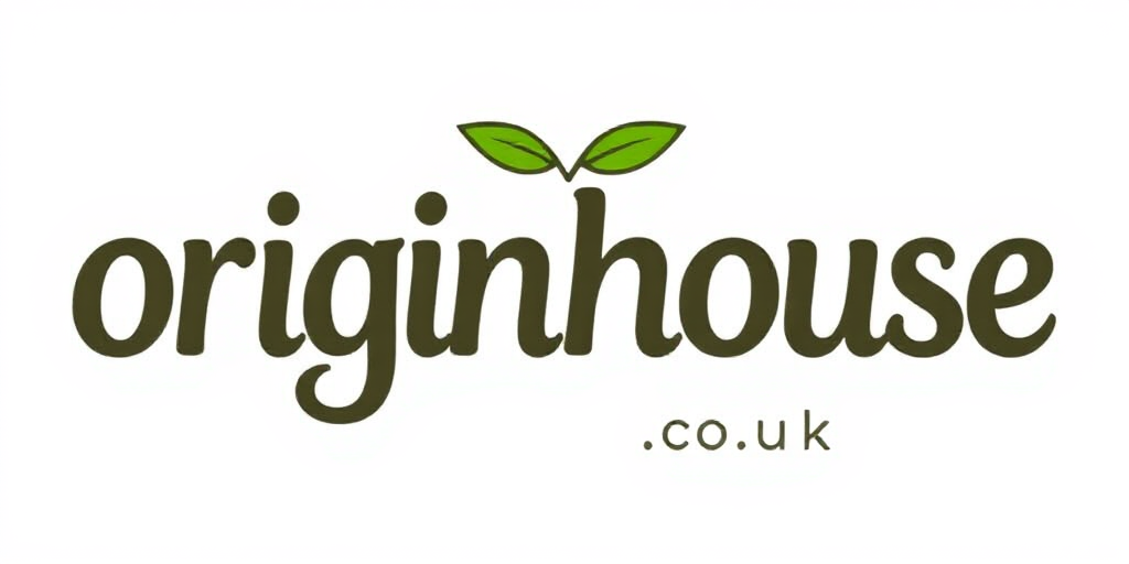 Origin House