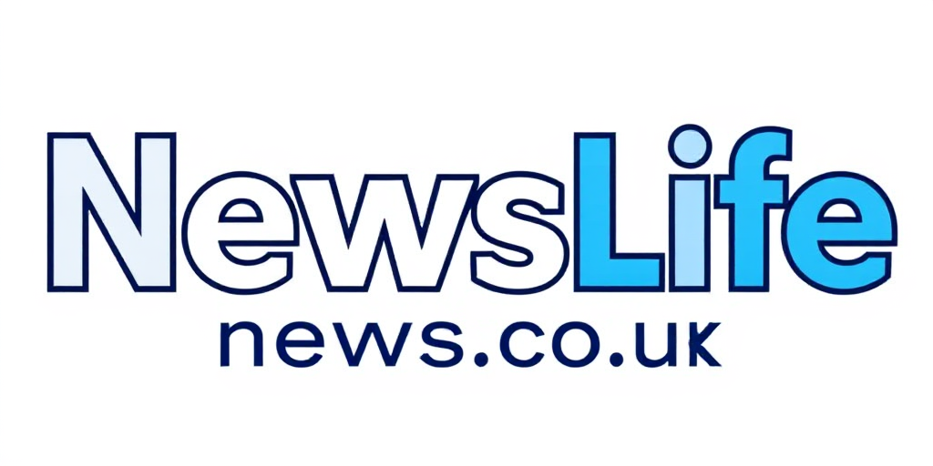 News Life News