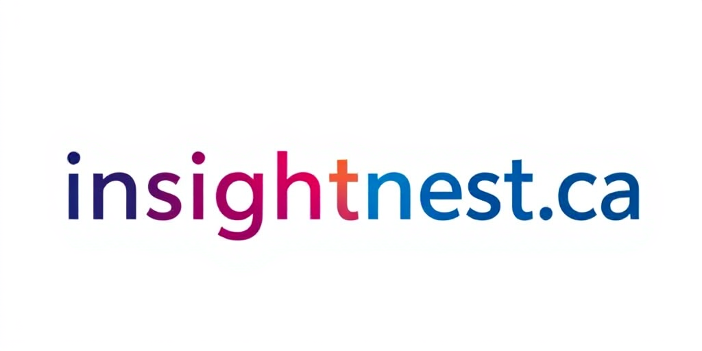 InsightNest