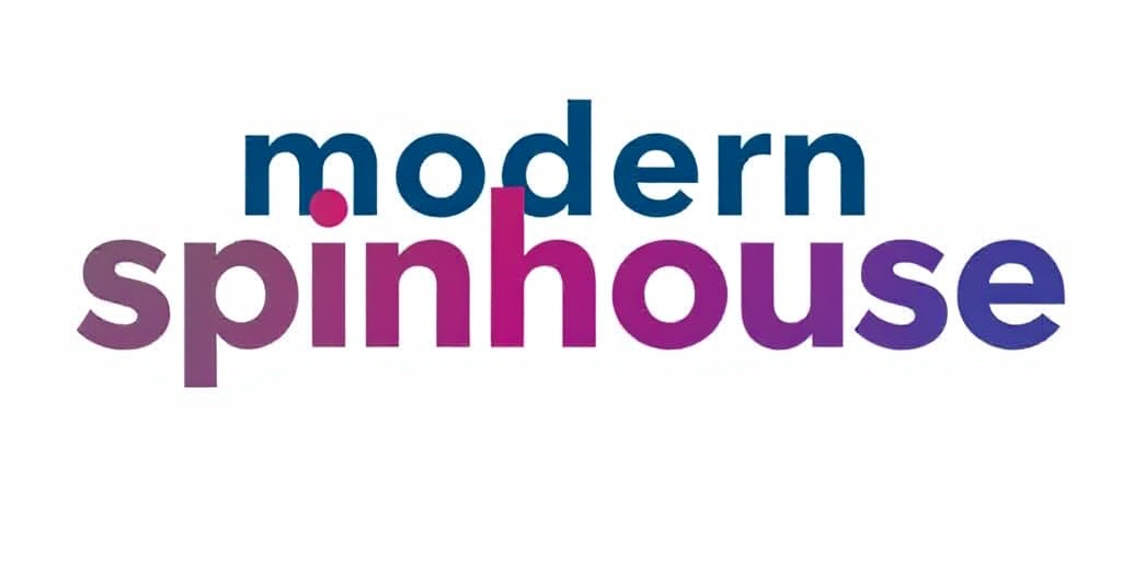 The Spin House