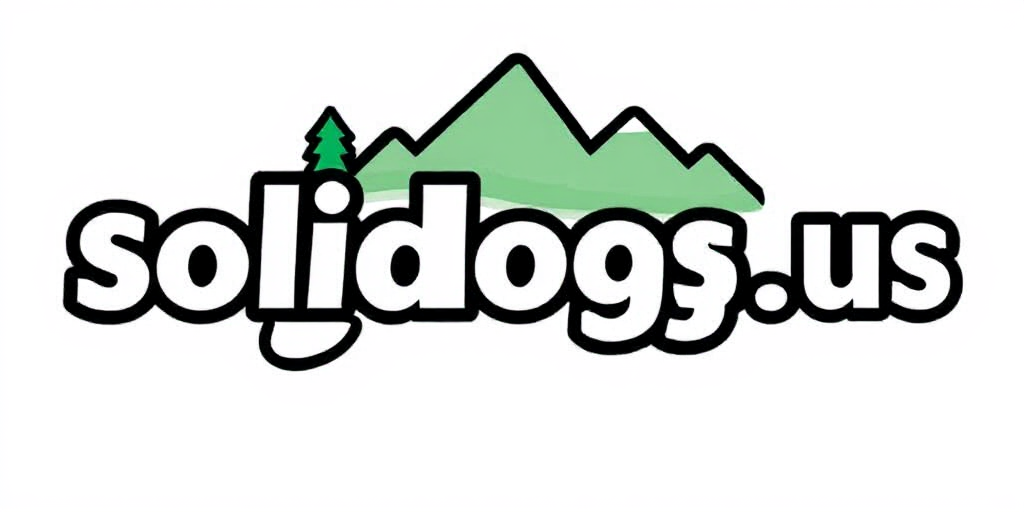 SolidLogs