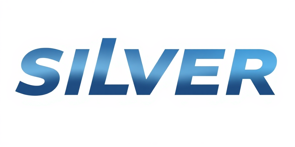 Silver Fitness Link