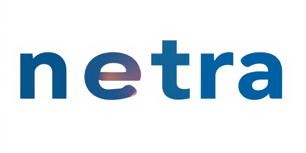 Netra Factory