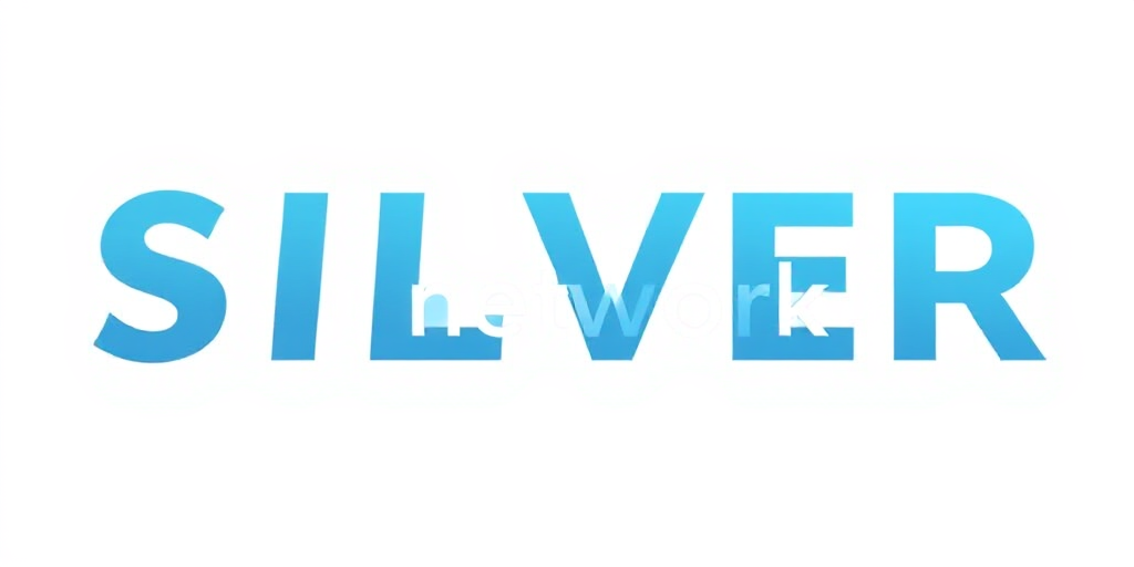 Silver Network