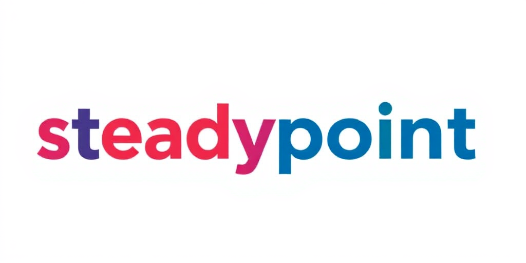 Steadypoint
