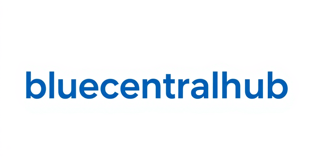 Blue Central Hub