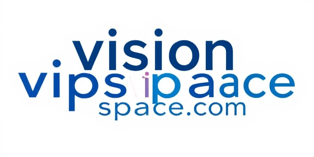 Vision VIP Space