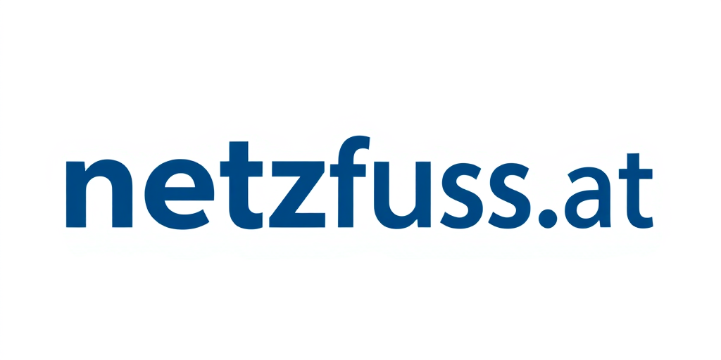Netzfluss