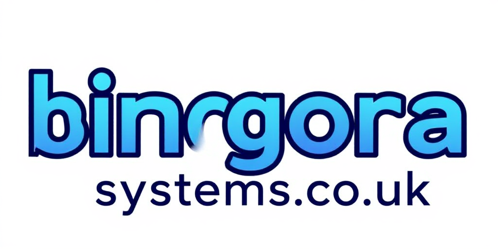 Bingora Systems