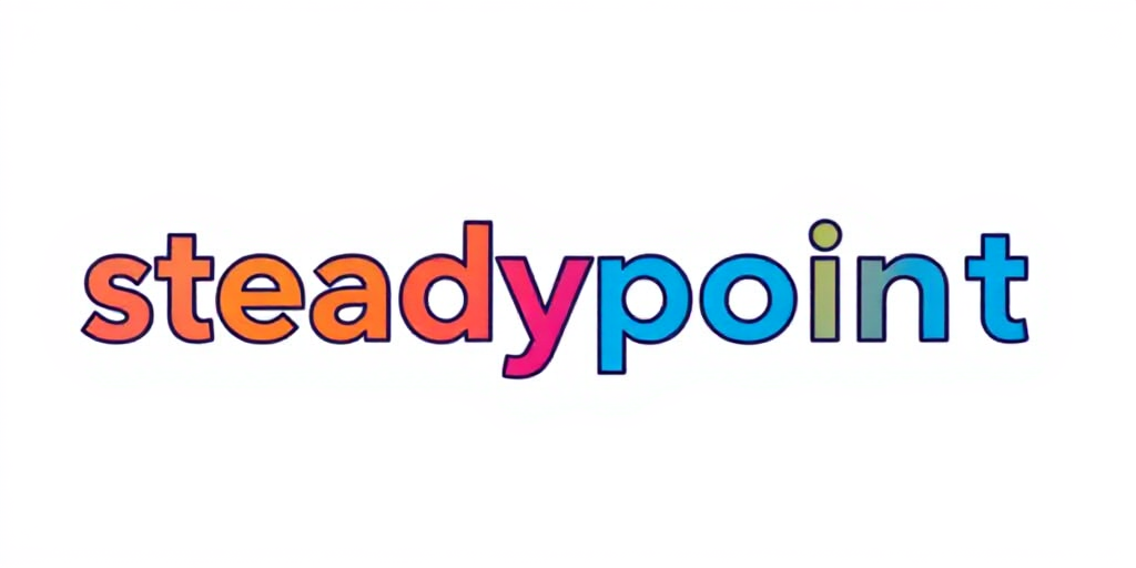 Steadypoint