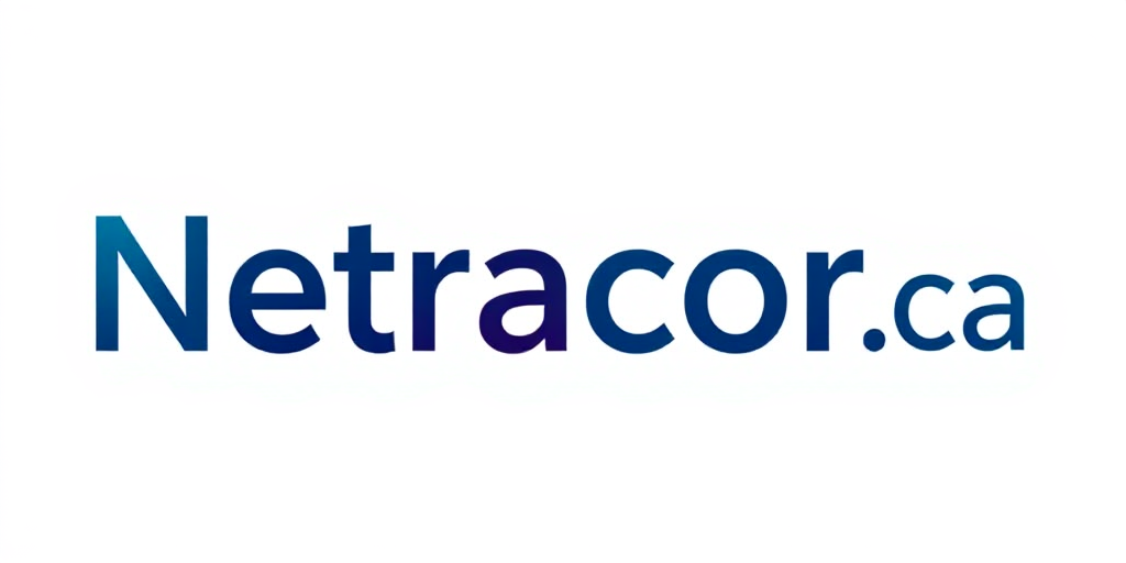 NetraCore