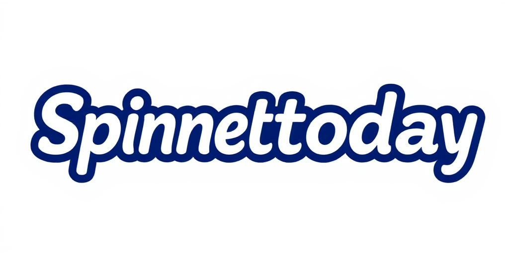SpinNet Today