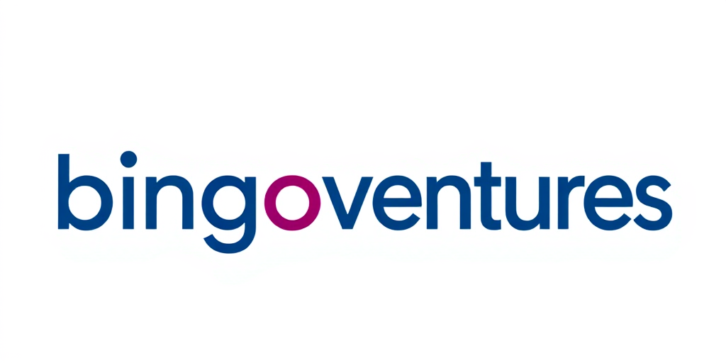 Bingo Ventures