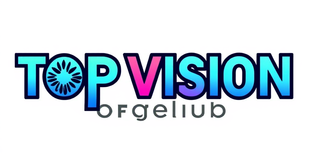 Top Vision Forge Hub