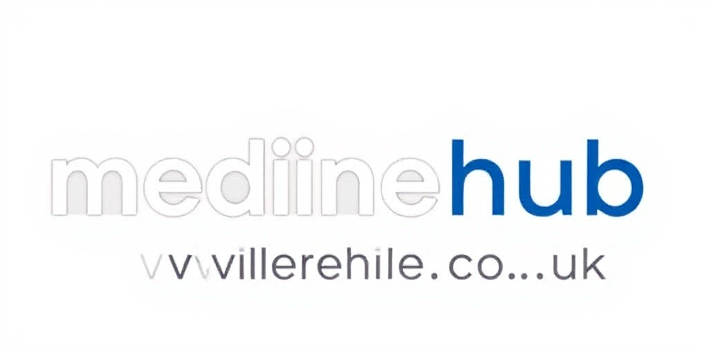 Media Online Hub