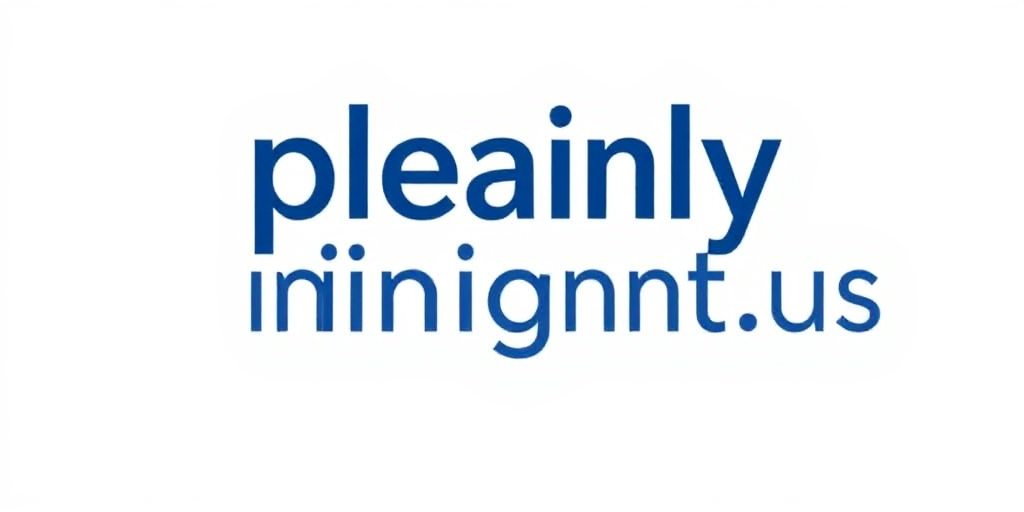 Plainly Insight