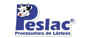 Puvesoft, sistema punto de ventas