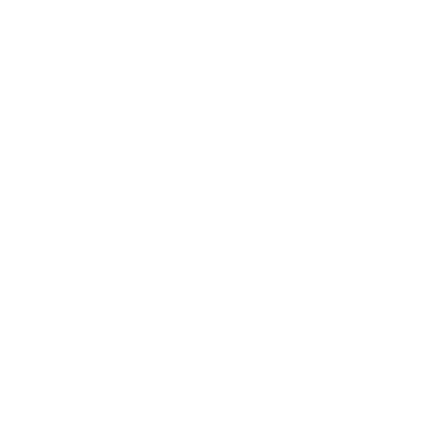 DS