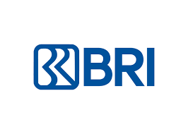 bri.png.webp