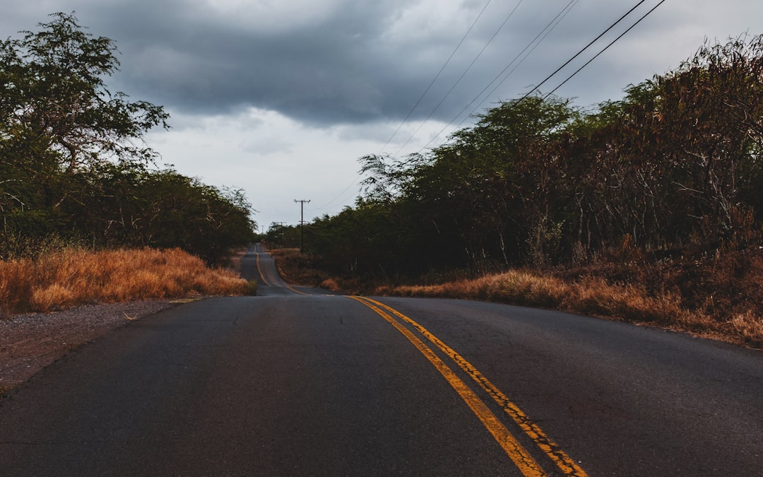 What to Do Immediately After a Car Accident in Citrus Heights