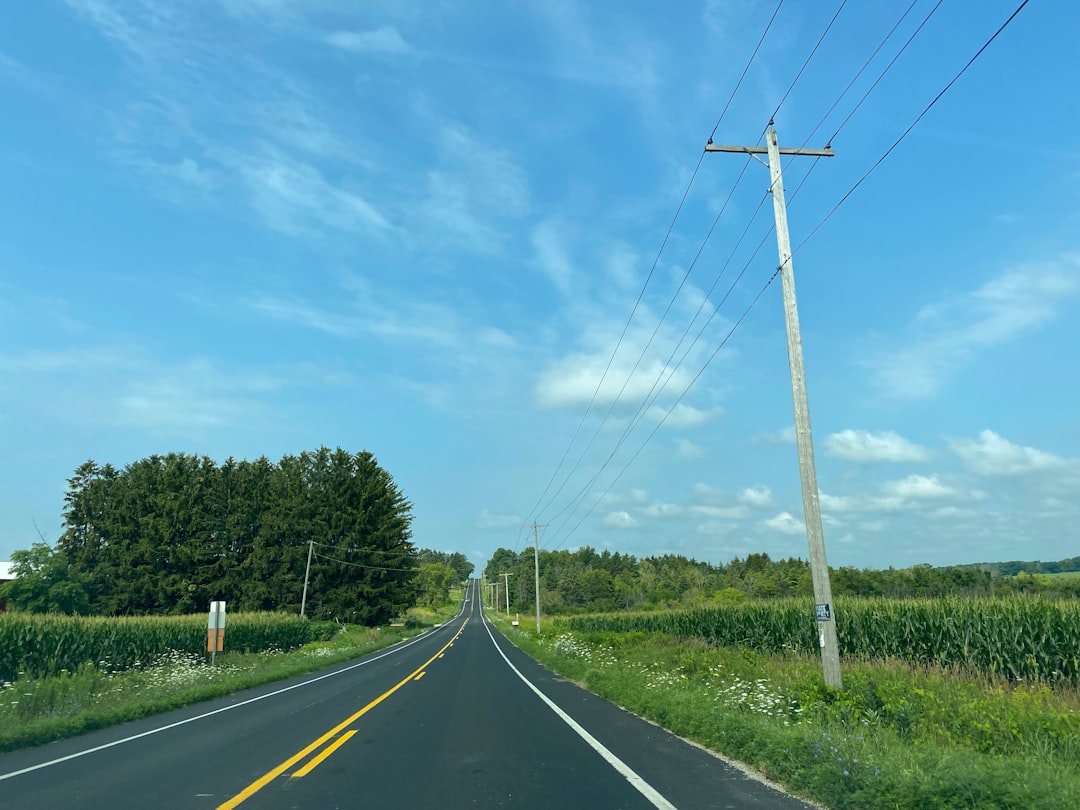 The Role of Witnesses in Car Accident Claims