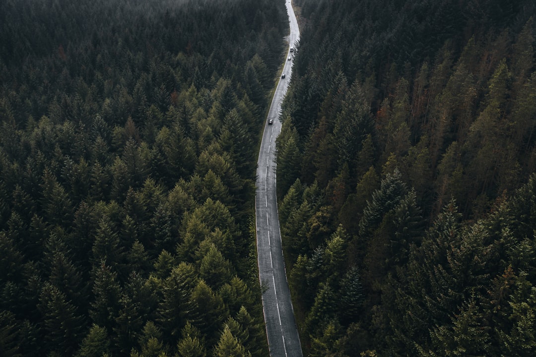 When to Reject an Insurance Settlement Offer
