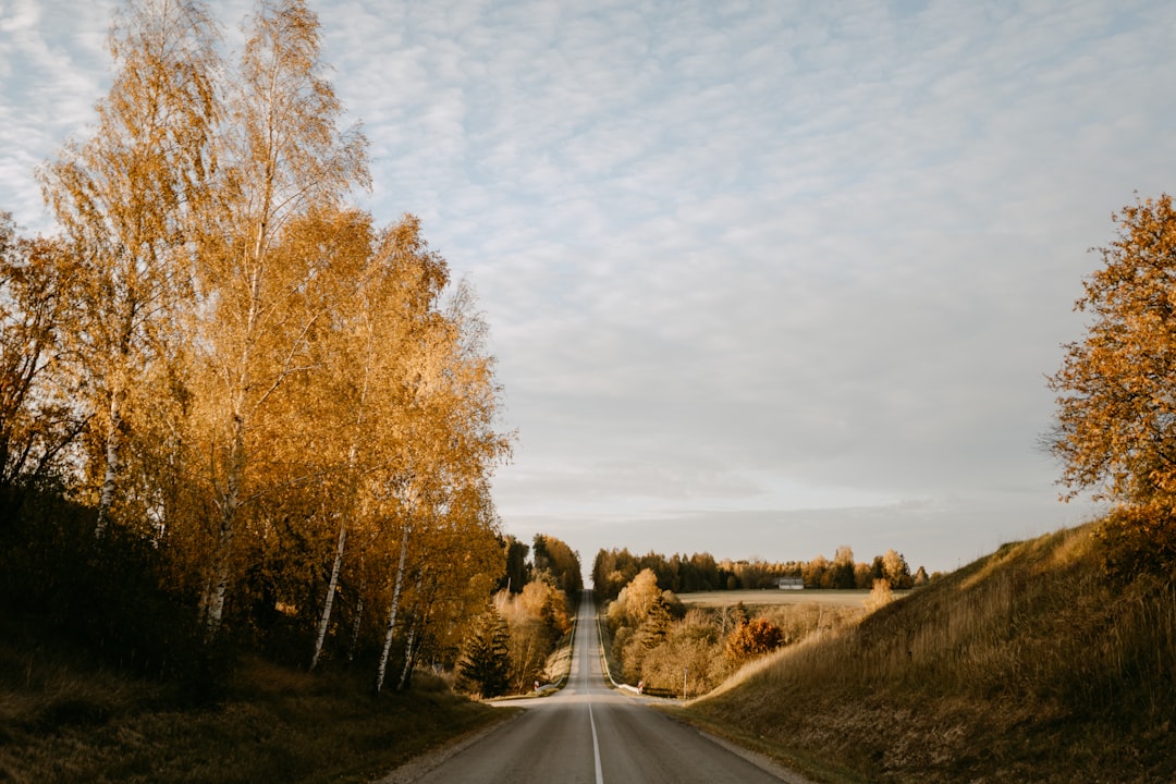 Common Injuries from Car Accidents
