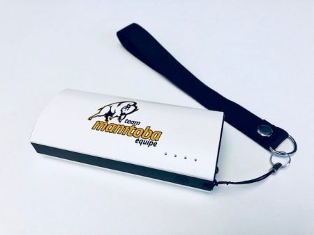 Custom Flashlight Power Bank