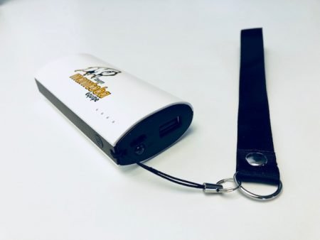 Custom Flashlight Power Bank