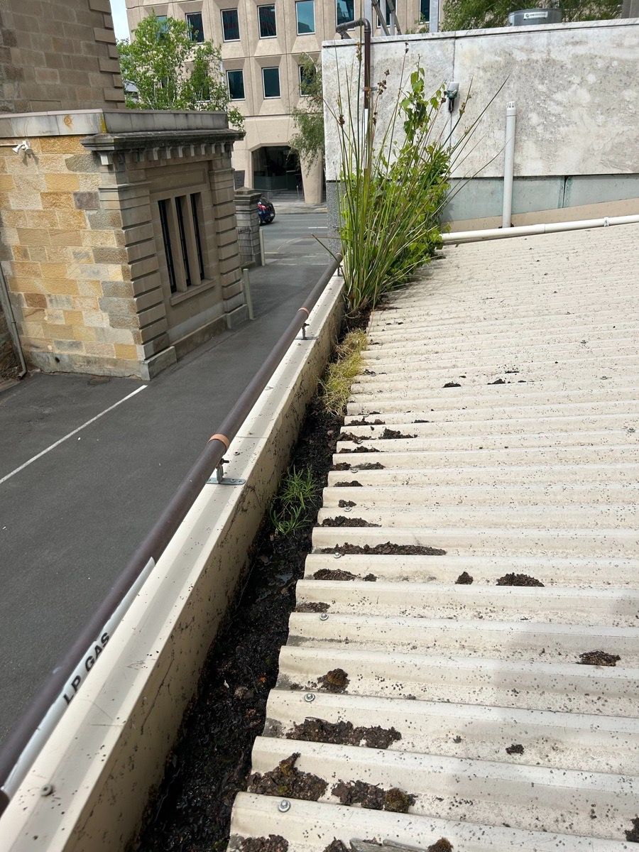Discover the Secret to Fixing Roof Leaks Like a Pro 